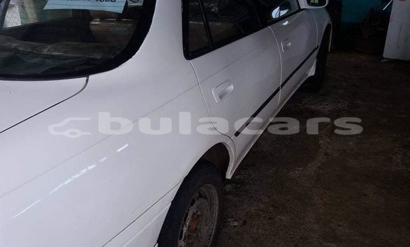 Buy Used Toyota Corolla White Car in Suva in Central Buy Used Toyota Corolla White Car in Suva in Central