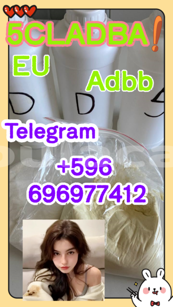 Big with watermark 6.5