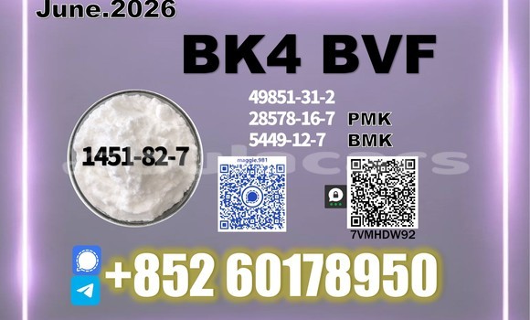 Medium with watermark bk4 2b4m cas 1451 82 7 quality control team