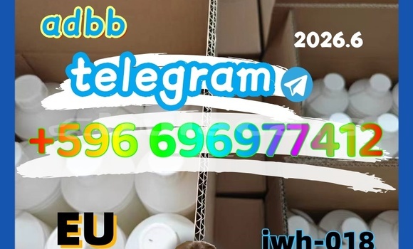 Medium with watermark 0.11