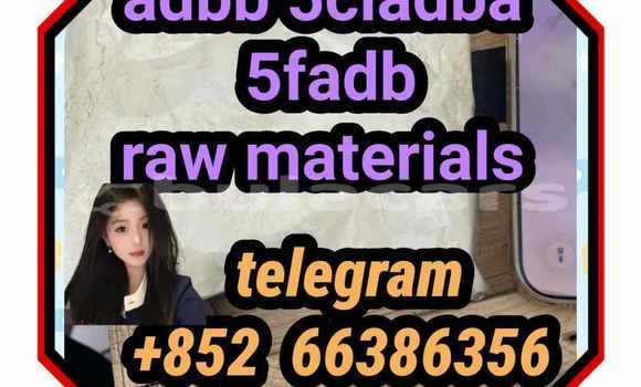 Medium with watermark 2