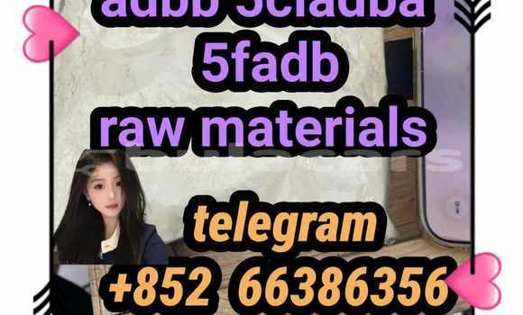 Medium with watermark 4