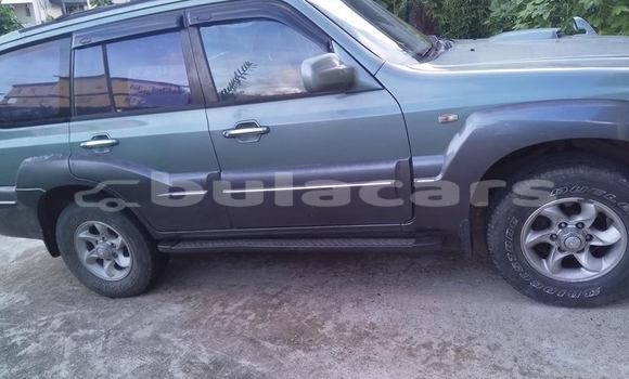 Buy Used Hyundai Terracan Other Car in Suva in Central Buy Used Hyundai Terracan Other Car in Suva in Central