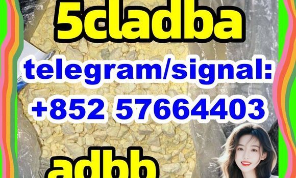 Medium with watermark 56