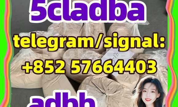Medium with watermark 59