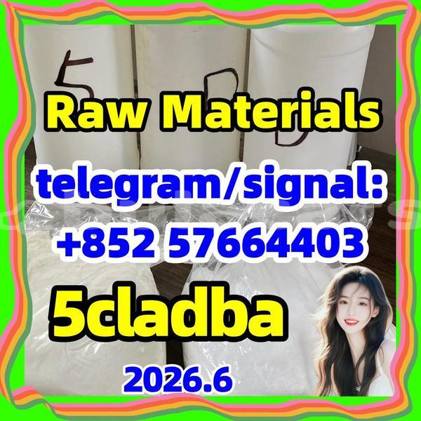 Big with watermark 510