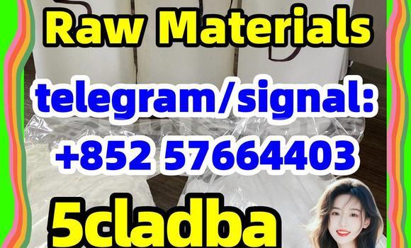 Medium with watermark 510
