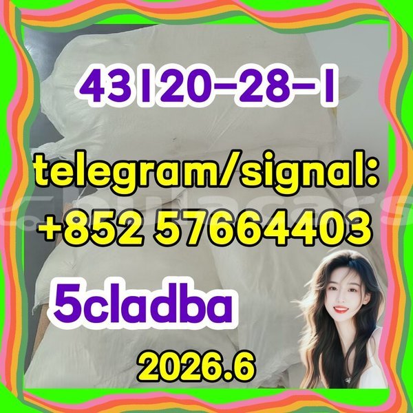 Big with watermark 511