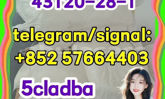 Medium with watermark 511
