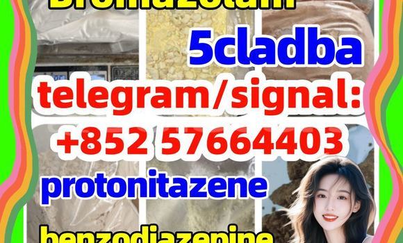 Medium with watermark z2