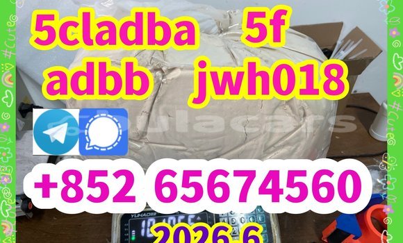 Medium with watermark 1897065064ee14f167cc14artu6b250e071 %e5%89%af%e6%9c%ac