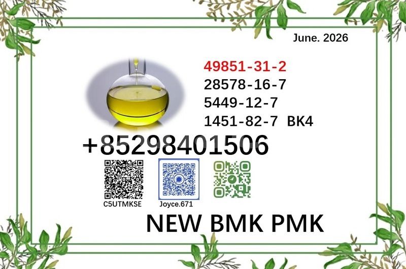 Big with watermark 49851 73