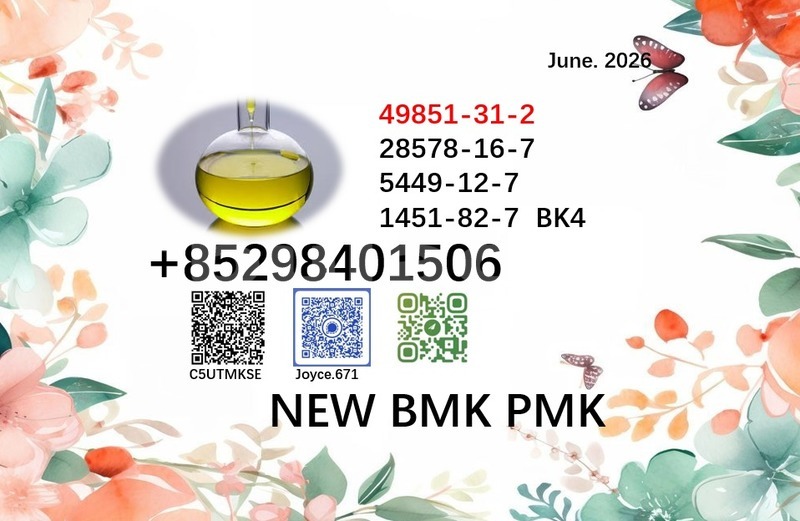 Big with watermark 49851 70