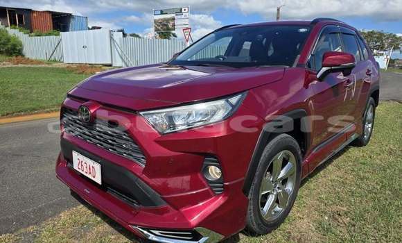 Buy Used Toyota RAV4 Red Car in Suva in Central