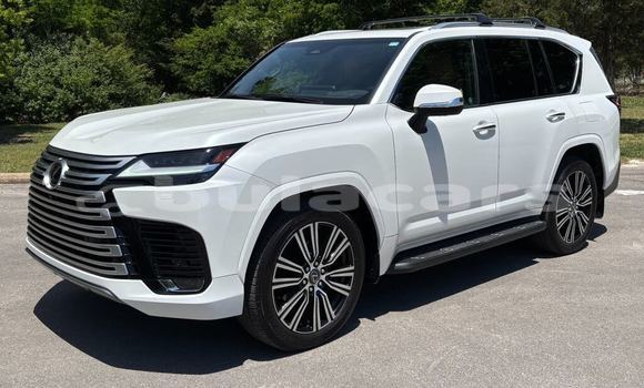 Buy Used Lexus LX White Car in Lautoka in Western