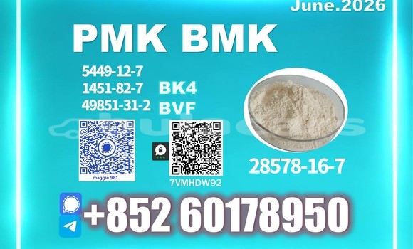 Medium with watermark pmk cas 28578 16 7 batch production record