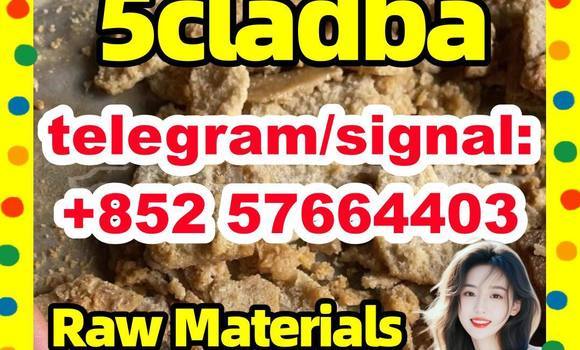 Medium with watermark 54
