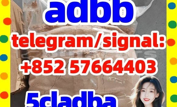 Medium with watermark 59