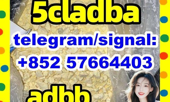 Medium with watermark 510