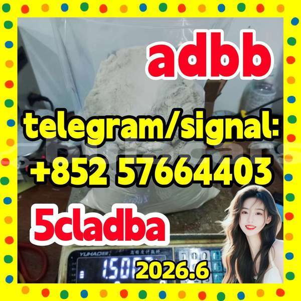 Big with watermark 55