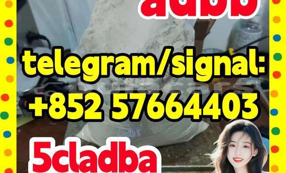 Medium with watermark 55