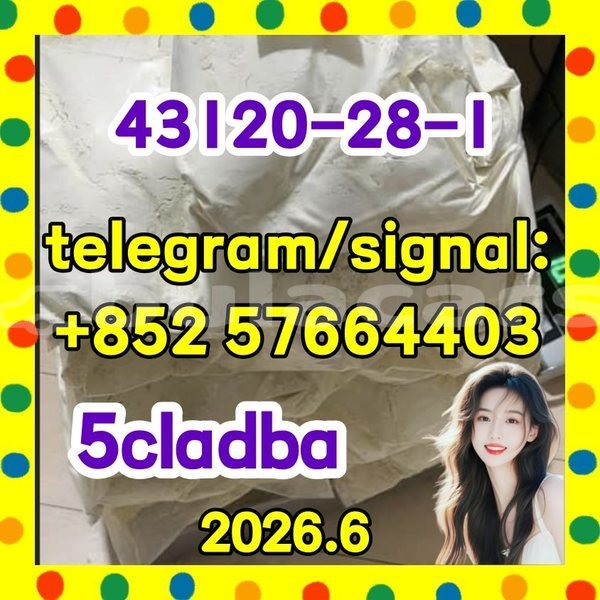 Big with watermark 511