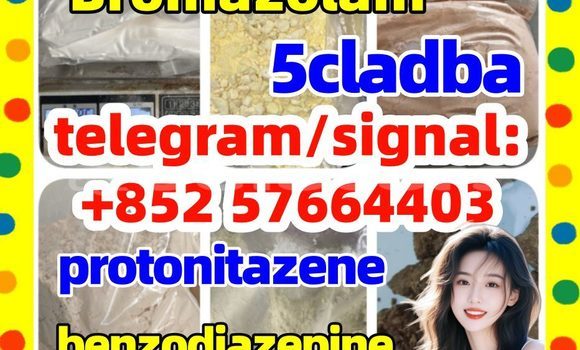 Medium with watermark z1
