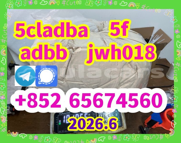 Big with watermark 1897065064ee14f167cc14artu6b250e071 %e5%89%af%e6%9c%ac