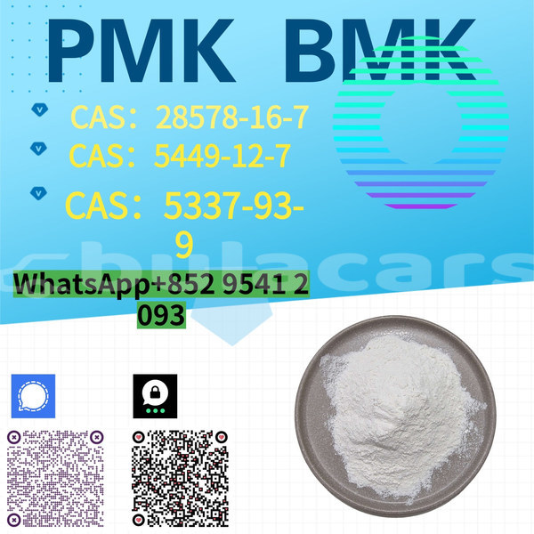 Big with watermark %e5%89%af%e6%9c%ac %e8%93%9d%e8%89%b2%e7%ae%80%e7%ba%a6%e5%af%92%e5%81%87%e5%9f%b9%e8%ae%ad%e6%8b%9b%e7%94%9f 8 