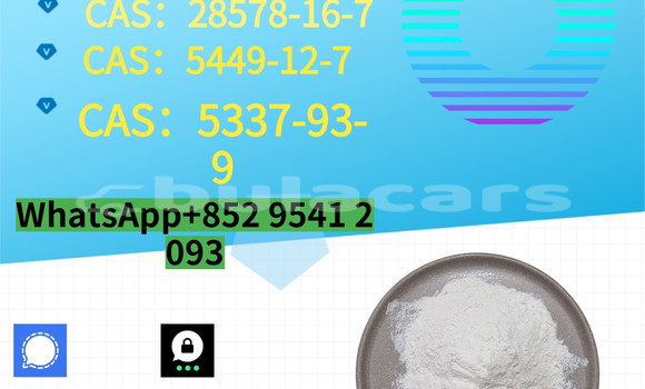 Medium with watermark %e5%89%af%e6%9c%ac %e8%93%9d%e8%89%b2%e7%ae%80%e7%ba%a6%e5%af%92%e5%81%87%e5%9f%b9%e8%ae%ad%e6%8b%9b%e7%94%9f 8 