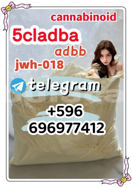 Big with watermark 9.8