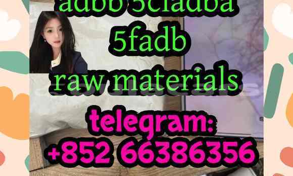 Medium with watermark 3