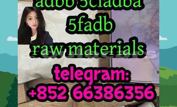 Medium with watermark 4
