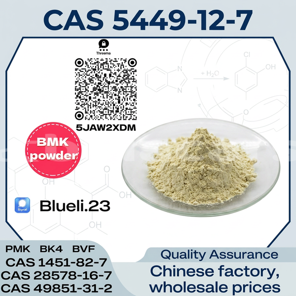 Big with watermark bmk glycidic acid sodium salt cas 5449 12 7 10 