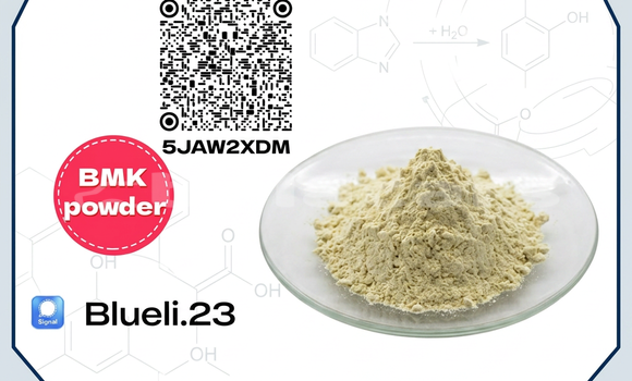 Medium with watermark bmk glycidic acid sodium salt cas 5449 12 7 10 