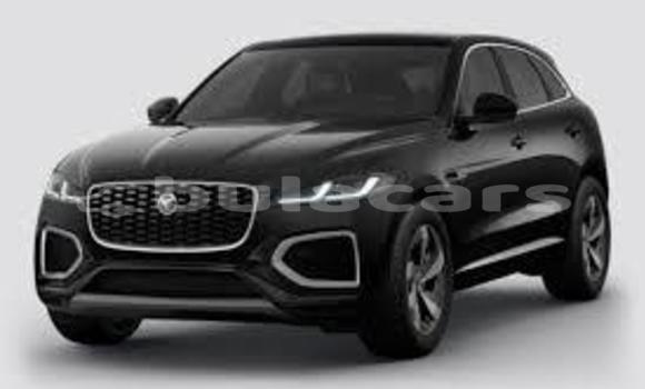 Buy Used Acura CSX Blue Car in Barotu in Western
