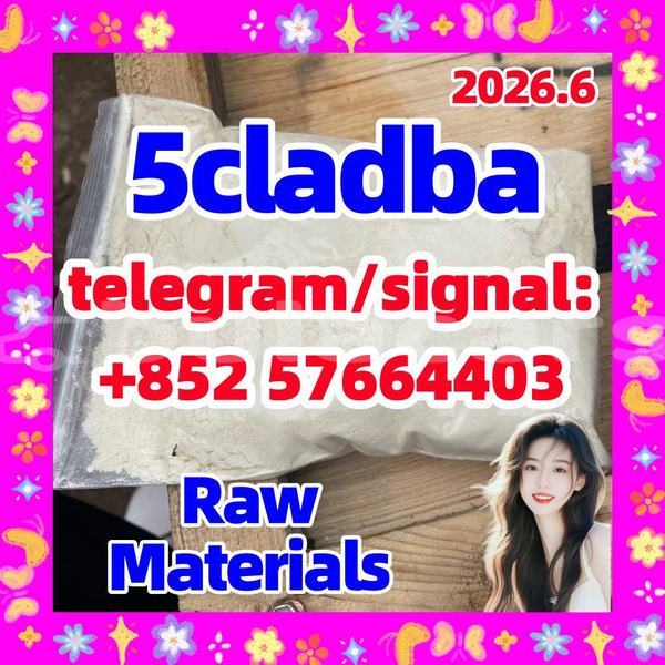 Big with watermark 56