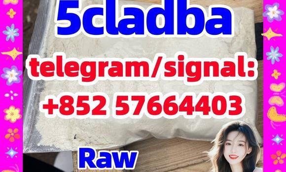 Medium with watermark 56
