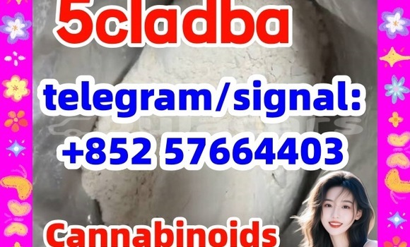 Medium with watermark 58