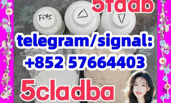 Medium with watermark 54