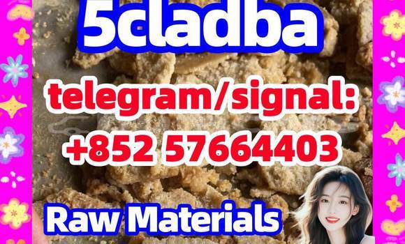 Medium with watermark 510