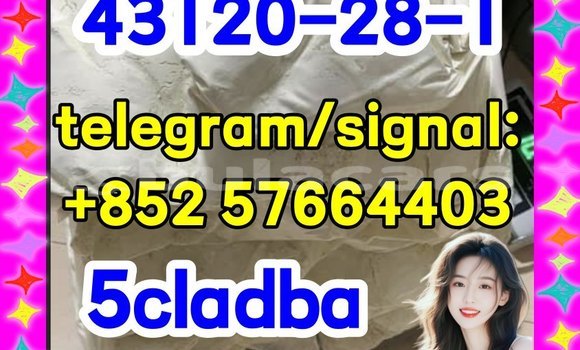 Medium with watermark 511