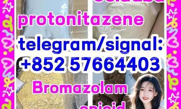Medium with watermark z1