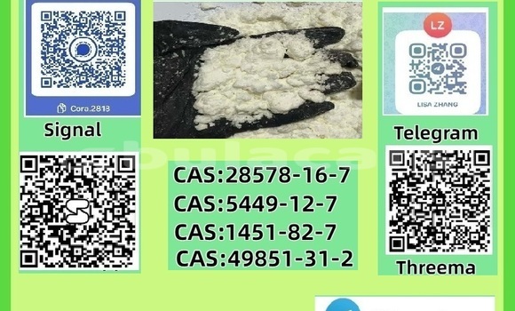 PMK powder CAS28578–16–7 