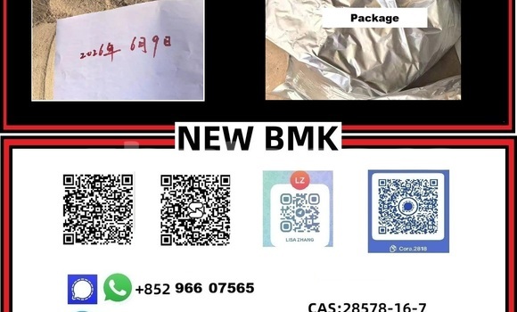 New BMK 5449-12-7 BMK 