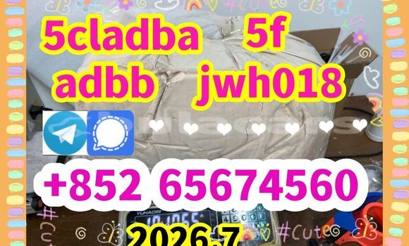 Acheter Bromazolam,71368-80-4 à Import - Dubai, Central Acheter Bromazolam,71368-80-4 à Import - Dubai, Central