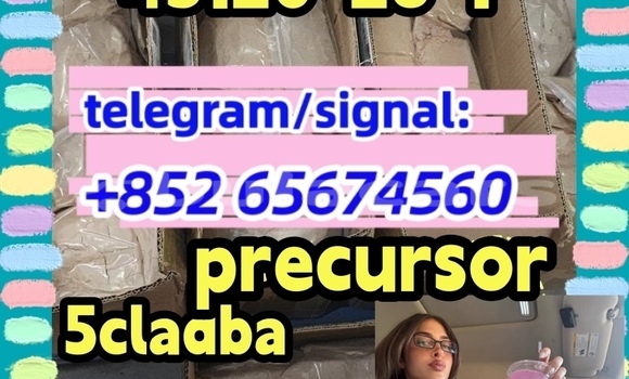 Medium with watermark photo 2026 03 04 10 21 45 %e5%89%af%e6%9c%ac %e5%89%af%e6%9c%ac