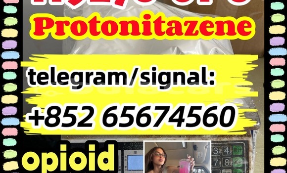 Medium with watermark dfnhrtghnefbet