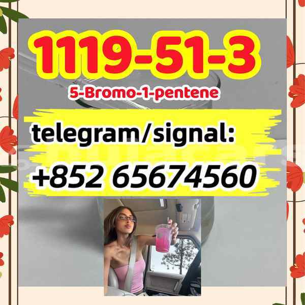 Big with watermark img 0040 %e5%89%af%e6%9c%ac