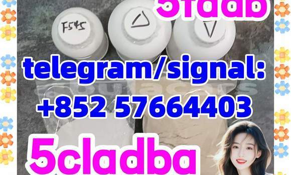 Medium with watermark 56